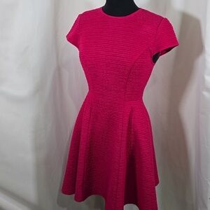NWOT TED BAKER Cherisa Textured Cap Sleeve Ribbed Fit Flare Skater Dress